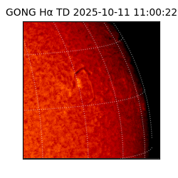 gong - 2025-10-11T11:00:22