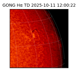 gong - 2025-10-11T12:00:22