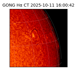 gong - 2025-10-11T16:00:42