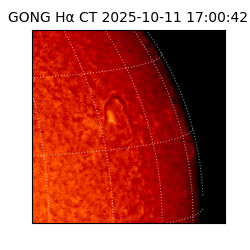 gong - 2025-10-11T17:00:42