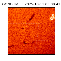 gong - 2025-10-11T03:00:42