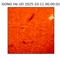 gong - 2025-10-11T06:00:02