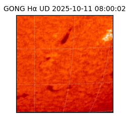 gong - 2025-10-11T08:00:02