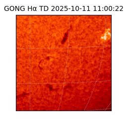 gong - 2025-10-11T11:00:22