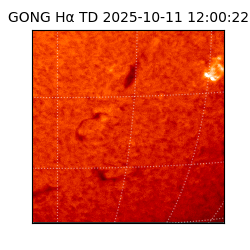 gong - 2025-10-11T12:00:22