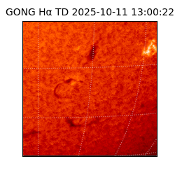 gong - 2025-10-11T13:00:22