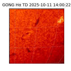 gong - 2025-10-11T14:00:22