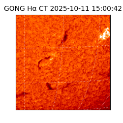 gong - 2025-10-11T15:00:42