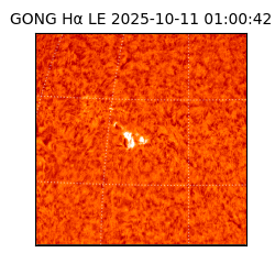 gong - 2025-10-11T01:00:42