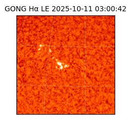 gong - 2025-10-11T03:00:42