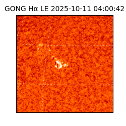 gong - 2025-10-11T04:00:42