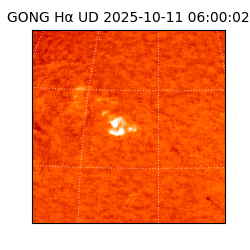 gong - 2025-10-11T06:00:02