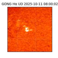 gong - 2025-10-11T08:00:02