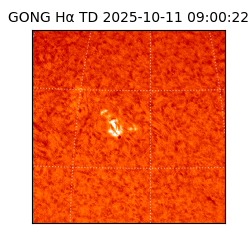 gong - 2025-10-11T09:00:22