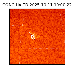 gong - 2025-10-11T10:00:22