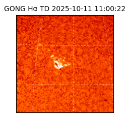 gong - 2025-10-11T11:00:22