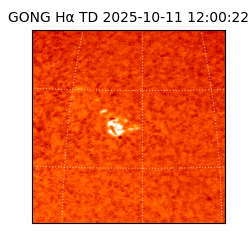 gong - 2025-10-11T12:00:22