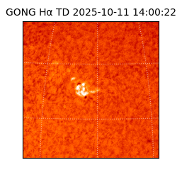 gong - 2025-10-11T14:00:22