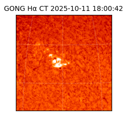 gong - 2025-10-11T18:00:42