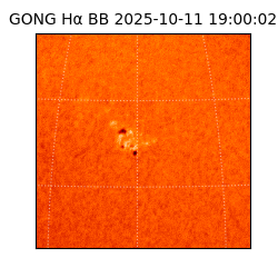 gong - 2025-10-11T19:00:02