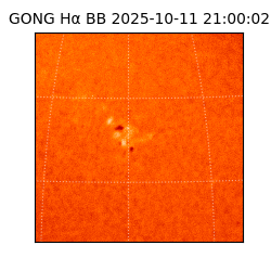 gong - 2025-10-11T21:00:02