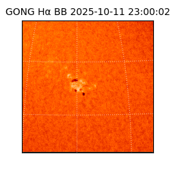 gong - 2025-10-11T23:00:02