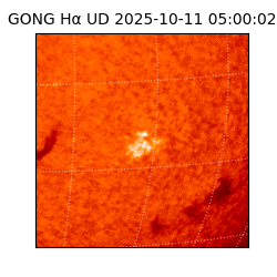 gong - 2025-10-11T05:00:02