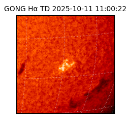 gong - 2025-10-11T11:00:22