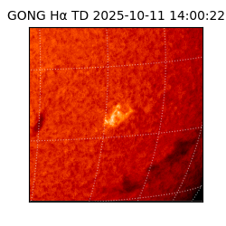 gong - 2025-10-11T14:00:22