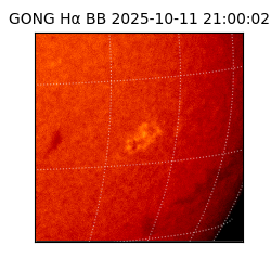 gong - 2025-10-11T21:00:02