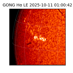 gong - 2025-10-11T01:00:42