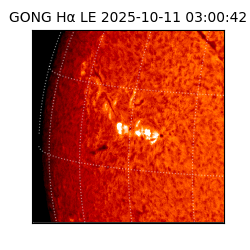 gong - 2025-10-11T03:00:42
