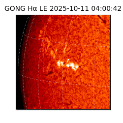 gong - 2025-10-11T04:00:42