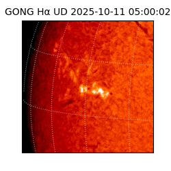gong - 2025-10-11T05:00:02