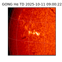 gong - 2025-10-11T09:00:22