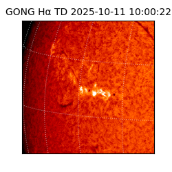 gong - 2025-10-11T10:00:22