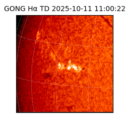 gong - 2025-10-11T11:00:22