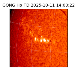 gong - 2025-10-11T14:00:22