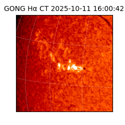 gong - 2025-10-11T16:00:42