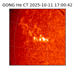 gong - 2025-10-11T17:00:42