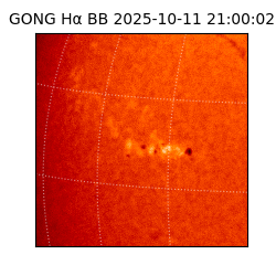 gong - 2025-10-11T21:00:02