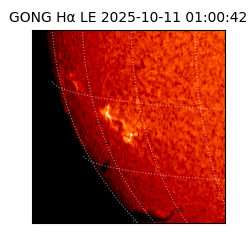 gong - 2025-10-11T01:00:42