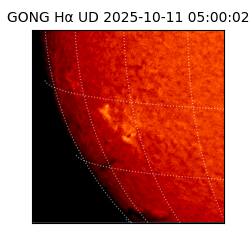 gong - 2025-10-11T05:00:02