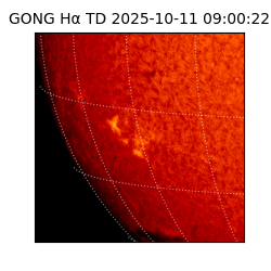 gong - 2025-10-11T09:00:22