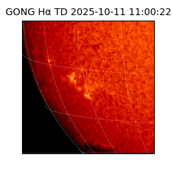 gong - 2025-10-11T11:00:22