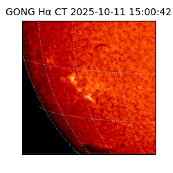 gong - 2025-10-11T15:00:42