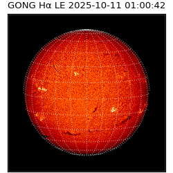 gong - 2025-10-11T01:00:42