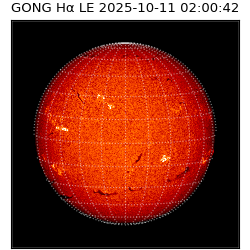 gong - 2025-10-11T02:00:42