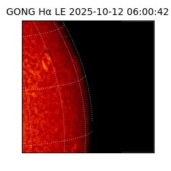 gong - 2025-10-12T06:00:42
