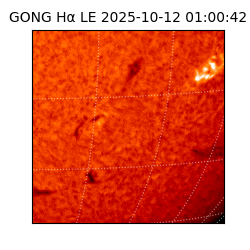 gong - 2025-10-12T01:00:42